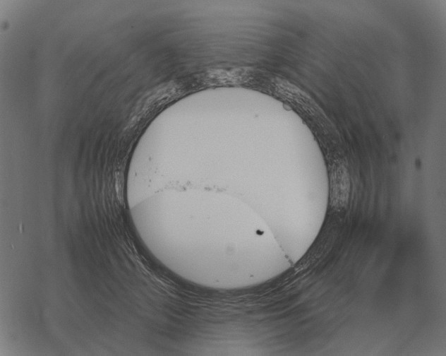 X0000067890706200605111851