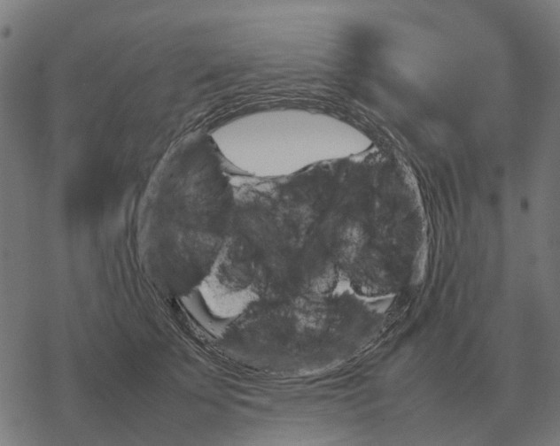 X0000067890707200605111851