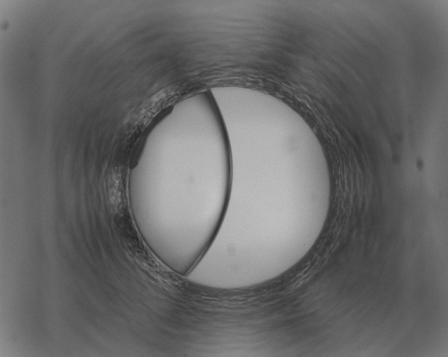 X0000067890708200605111851