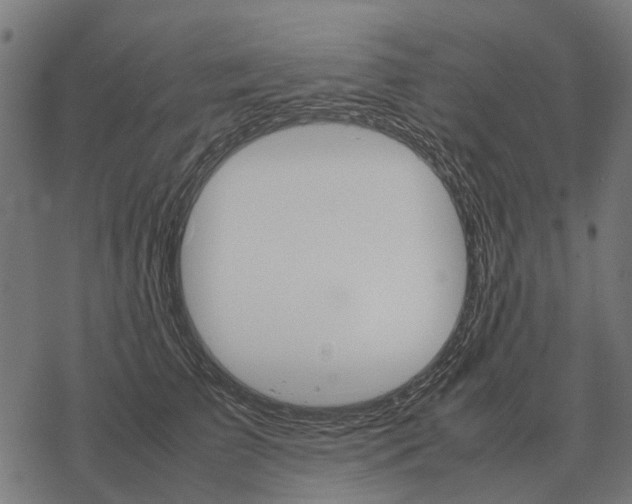 X0000067890709200605111851