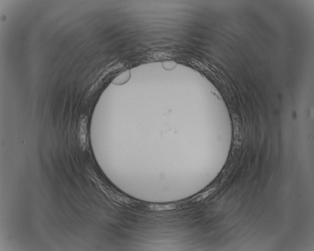 X0000067890710200605111851