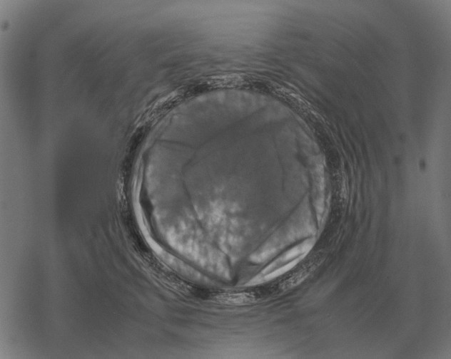 X0000067890711200605111851