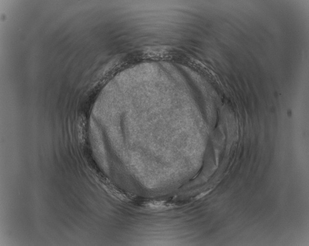 X0000067890712200605111851