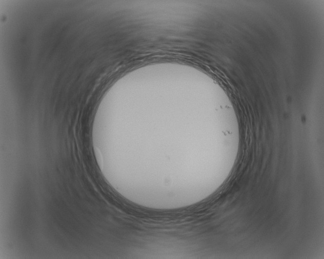 X0000067890713200605111851