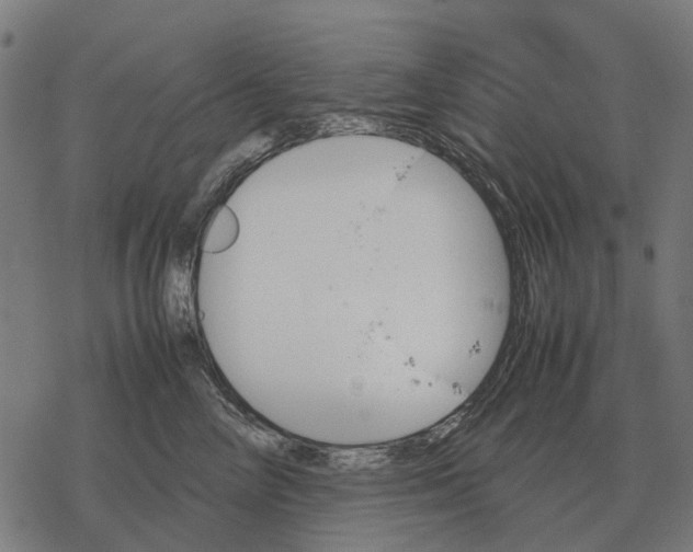 X0000067890714200605111851