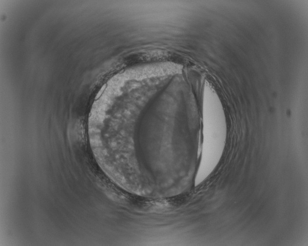 X0000067890715200605111851