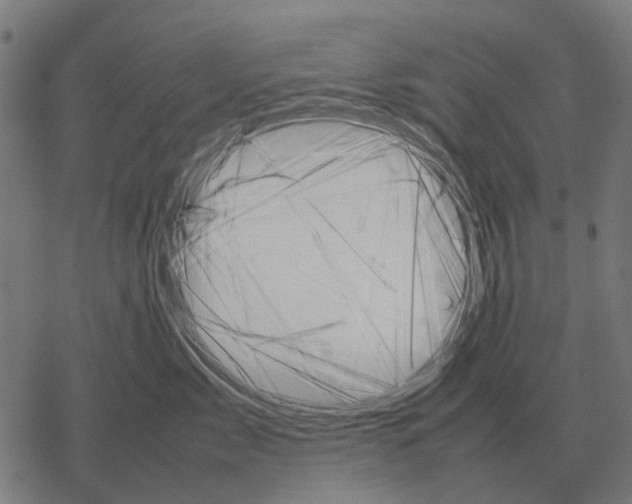 X0000067890717200605111851