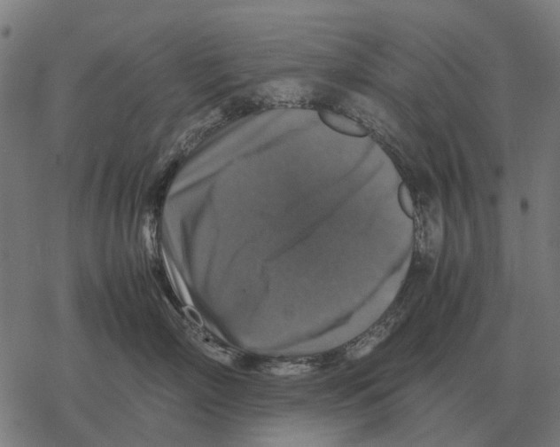 X0000067890718200605111851