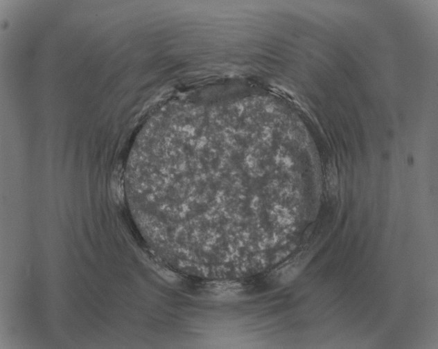 X0000067890719200605111851