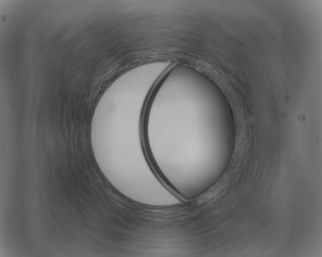 X0000067890720200605111851