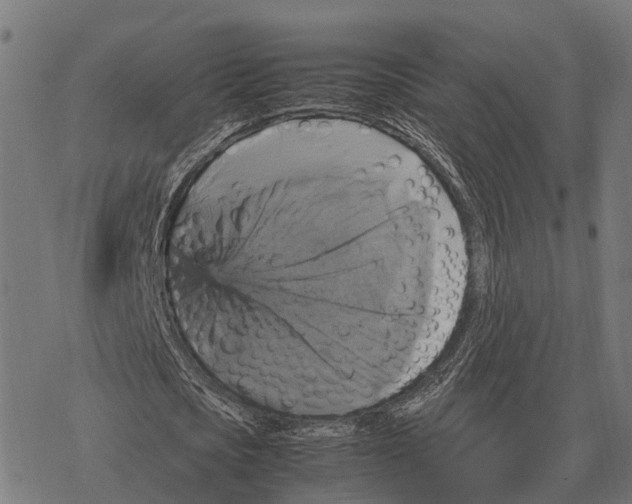 X0000067890721200605111850