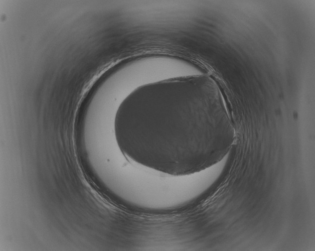 X0000067890722200605111850