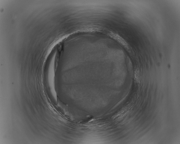 X0000067890724200605111850