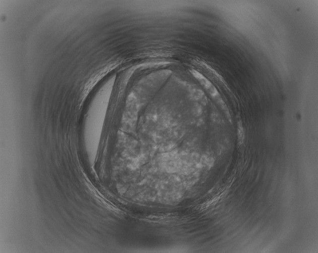 X0000067890725200605111850