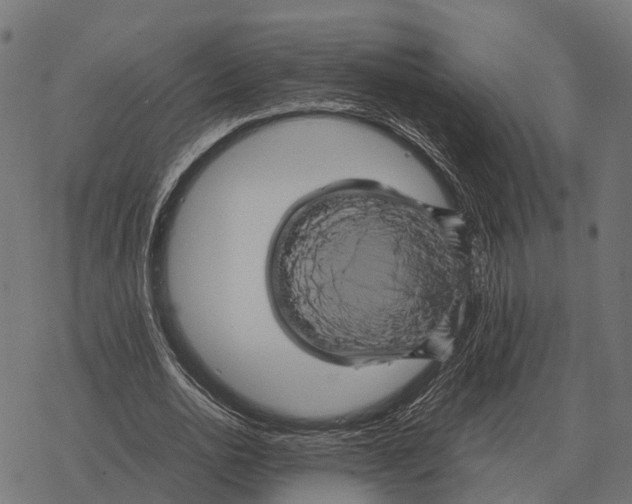 X0000067890726200605111850