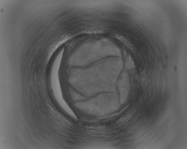 X0000067890727200605111850