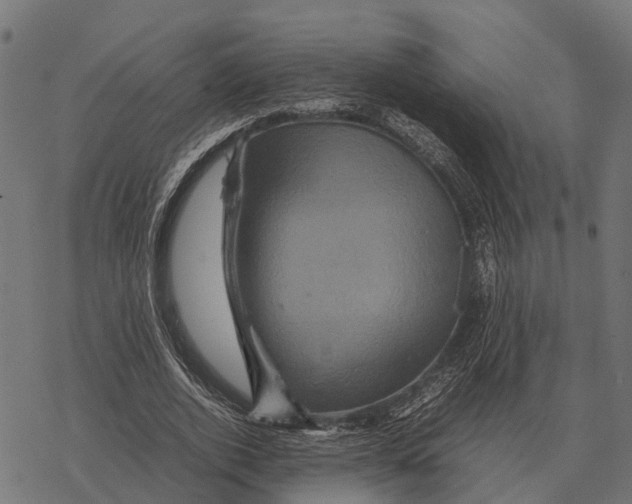 X0000067890728200605111850