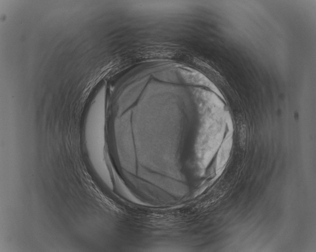 X0000067890729200605111850