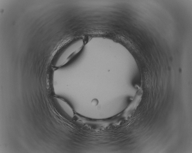 X0000067890731200605111850