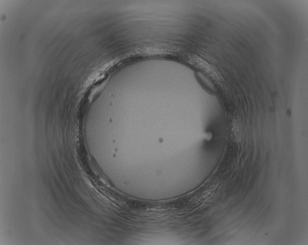 X0000067890732200605111850