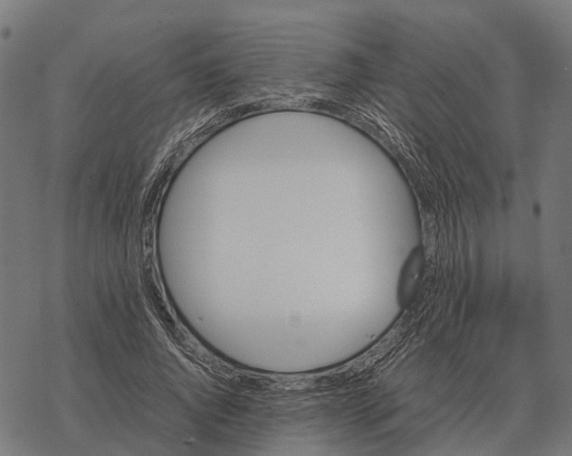 X0000067890736200605111850