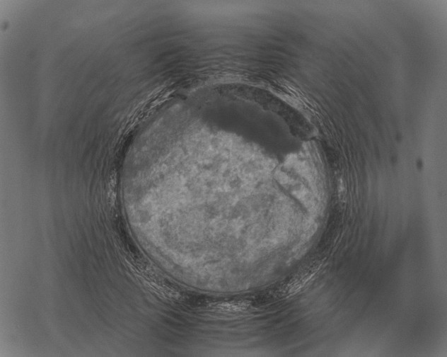 X0000067890737200605111850