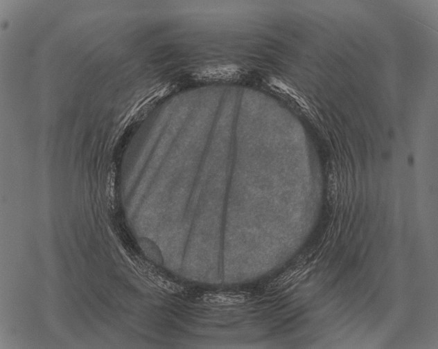 X0000067890739200605111850