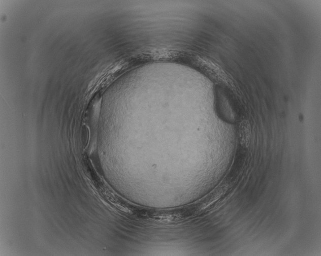 X0000067890740200605111850