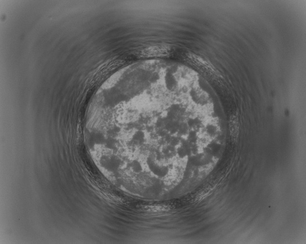 X0000067890741200605111850