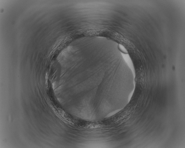 X0000067890742200605111850