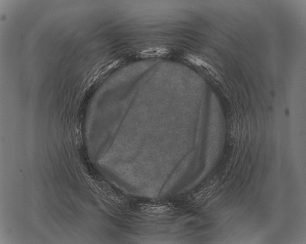 X0000067890743200605111850