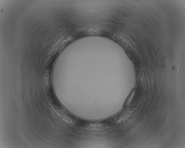 X0000067890744200605111850