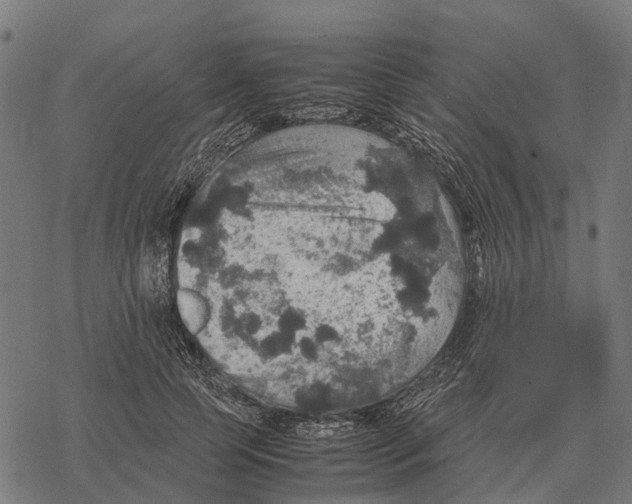 X0000067890745200605111850