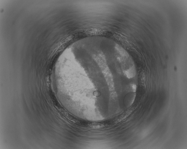 X0000067890746200605111850