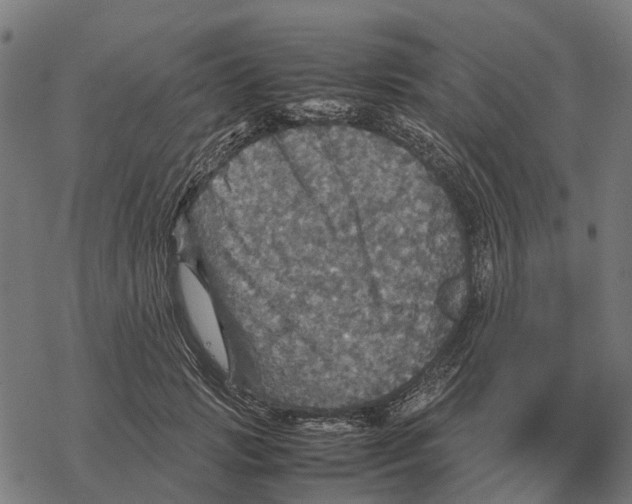 X0000067890749200605111850