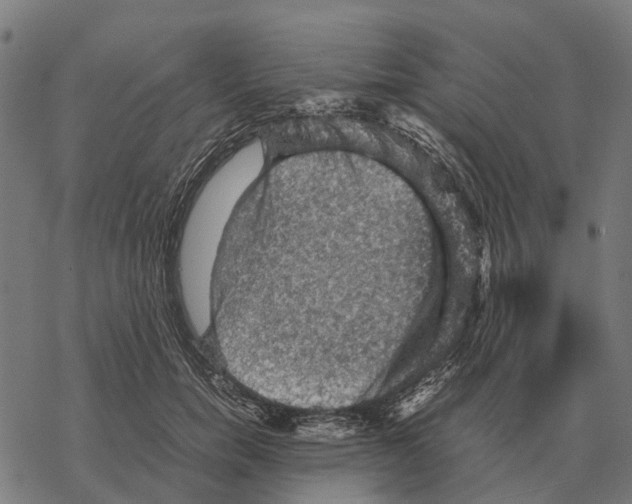 X0000067890750200605111850