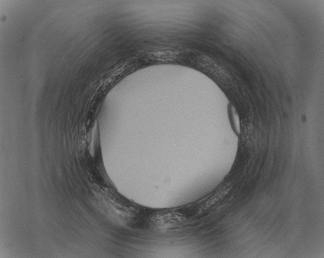 X0000067890752200605111850