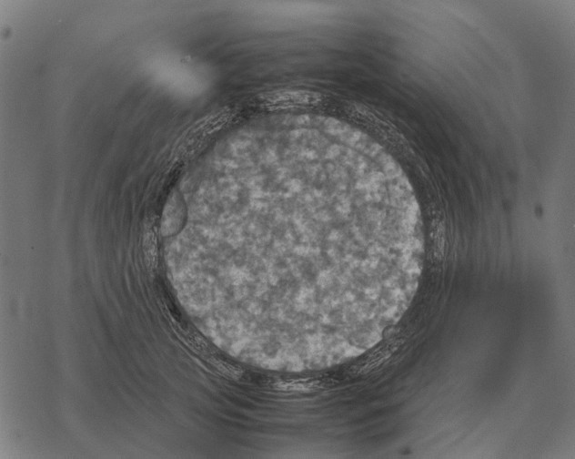 X0000067890753200605111850