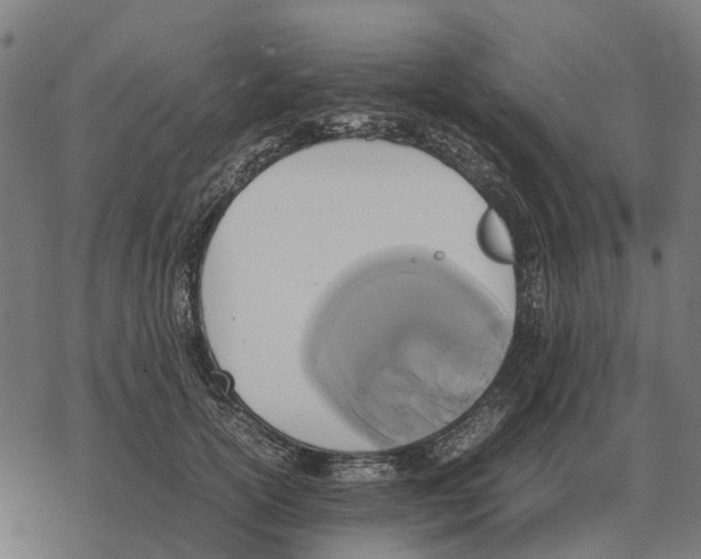 X0000067890754200605111850