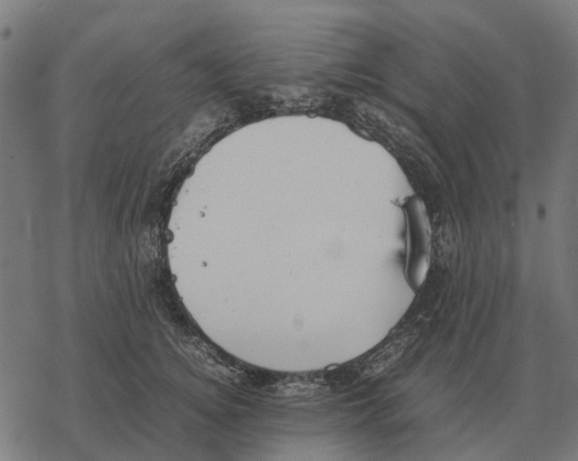 X0000067890756200605111850