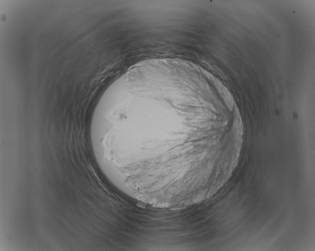 X0000067890757200605111850