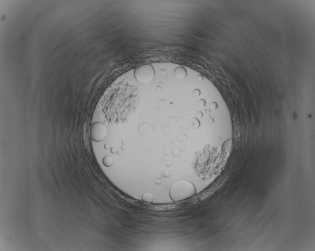 X0000067890758200605111850