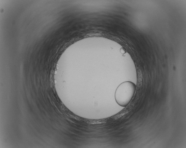 X0000067890759200605111850