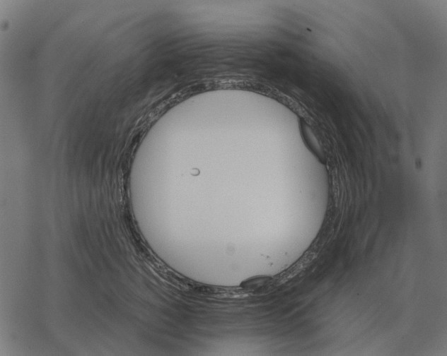 X0000067890760200605111850