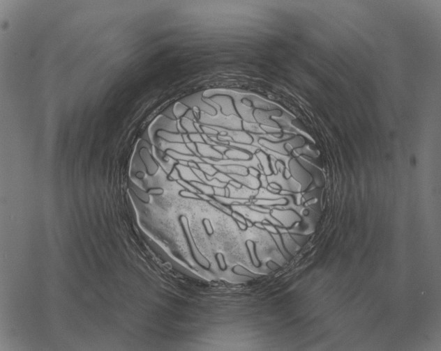 X0000067890762200605111850