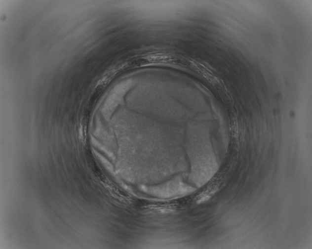 X0000067890763200605111850