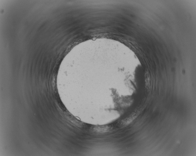 X0000067890767200605111851