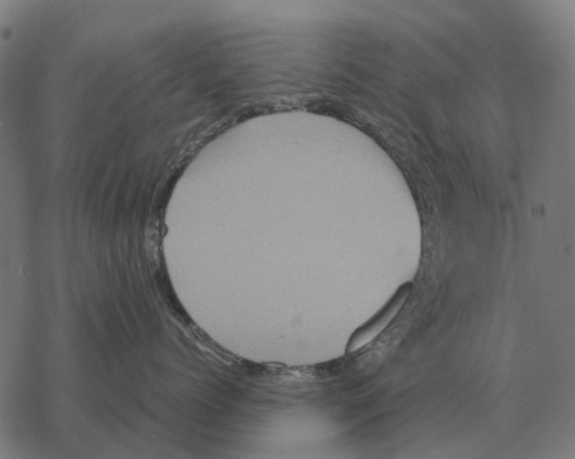 X0000067890768200605111851