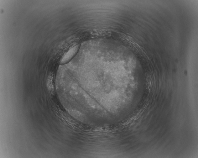 X0000067890770200605111850