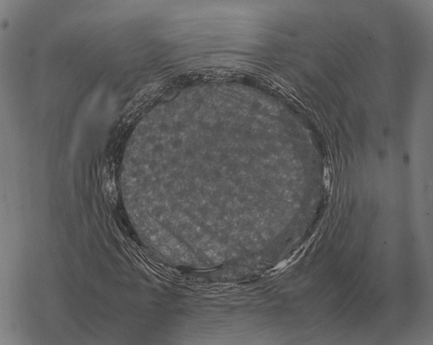 X0000067890771200605111850